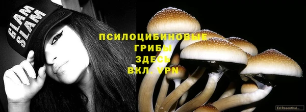 сатива Армянск