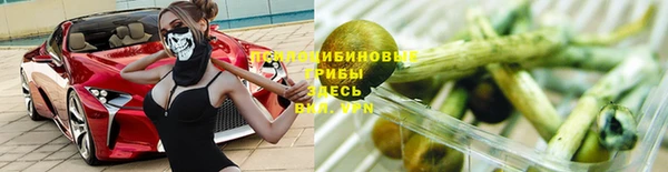СК Арсеньев