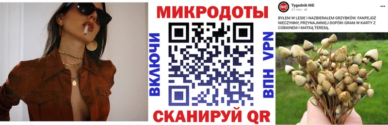 Галлюциногенные грибы MAGIC MUSHROOMS  хочу наркоту  darknet клад  Кемь 